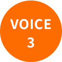 voice